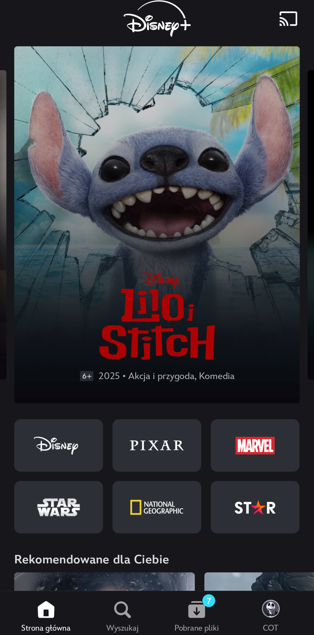 Disney - profil