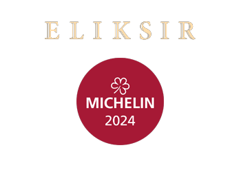 Elixir-Michelin.png Elixir-Michelin.png