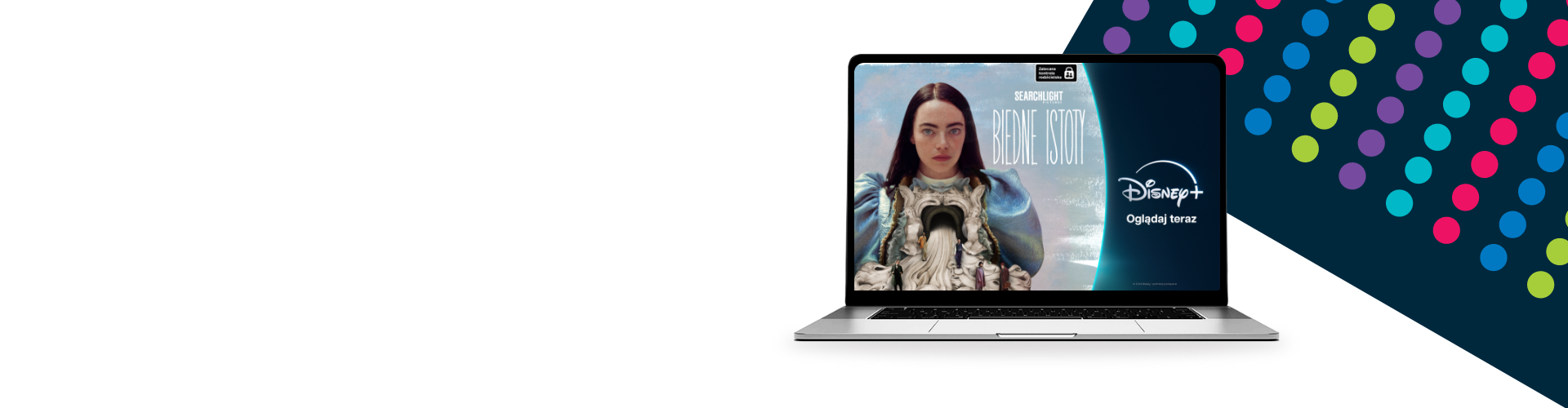 Internet światłowodowy w Netia