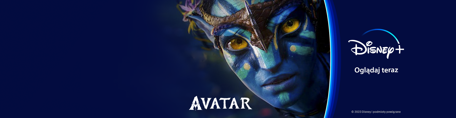grafika promocyjna do filmu Avatar