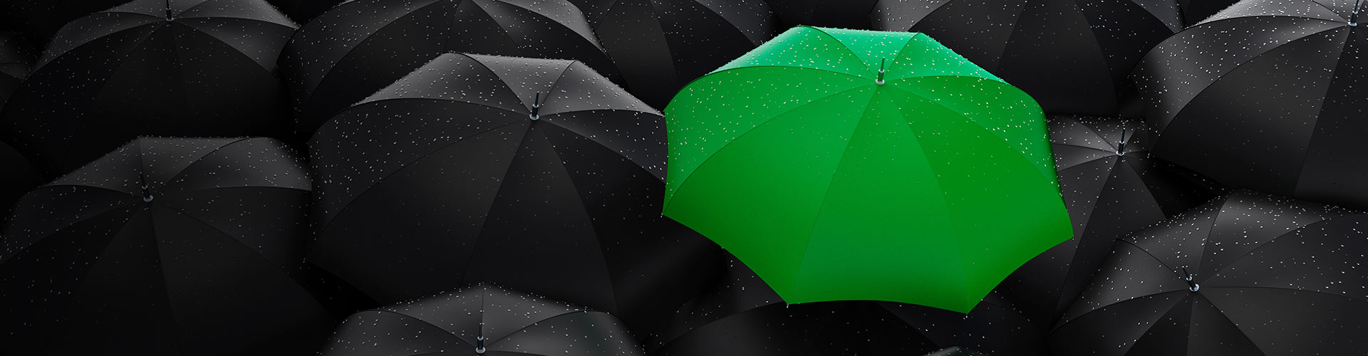 /getmedia/782e7fde-d13b-49fb-bec9-c8e1b63e27c9/Netia-YOUTRO-2024-Webinar-Netia-DNS-Shield-1920x500.jpg?width=1920&height=500&ext=.jpg